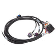 Load image into Gallery viewer, Edelbrock Pro Flo 4 IAC Ignition Harness 58X Gen IV LS - Main Product View