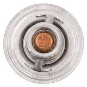 Edelbrock Thermostat High Flow 054mm 195-Deg - Main Product View
