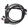 Load image into Gallery viewer, Edelbrock Using a 4-Pin Alternator Pro-Flo 4+ EFI Wiring Harness fits Chevy LS - Main Product View