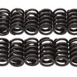 Load image into Gallery viewer, Edelbrock Valve Springs E-Street Heads Set of 16 - Main Product View