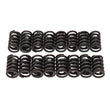 Load image into Gallery viewer, Edelbrock Valve Springs E-Street Heads Set of 16 - Side View