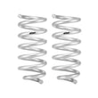 Load image into Gallery viewer, Eibach 18-24 Ford Expedition Stage 1 Rear Spring System - Main Product View