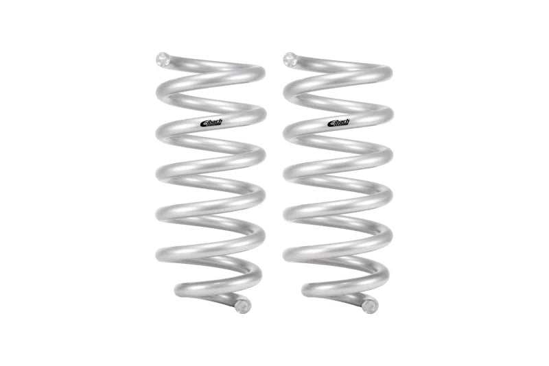 Eibach 18-24 Ford Expedition Stage 1 Rear Spring System - Main Product View