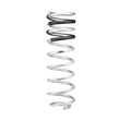 Load image into Gallery viewer, Eibach 21-24 Ford F-150 Raptor 3.5L V6 EcoBoost 4WD 3rd Gen Pro-Lift-Kit HD (Set of 4 Springs) - Back View