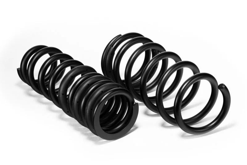 Eibach 22-24 Lexus IS500 F-Sport Special Edition Pro-Kit Lowering Springs (1.7in Front 1.3in Rear) - Back View