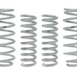 Load image into Gallery viewer, Eibach Drag Launch Kit (Competition Springs) for 2015-2020 Dodge Challenger SRT Hellcat - Main Product View