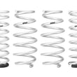 Load image into Gallery viewer, Eibach Pro-Lift Kit for 19-20 Subaru Forester AWD SK - Main Product View