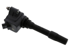 Eldor Ignition Coil R1705S00100