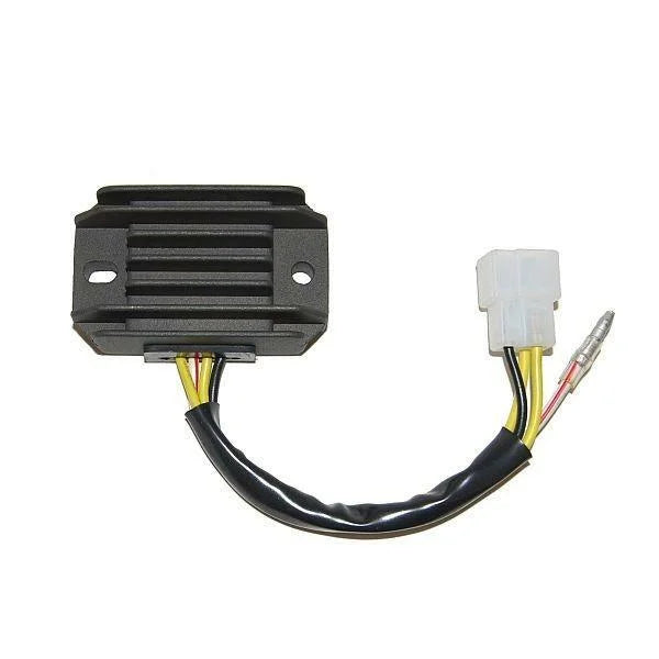 Electrosport Industries ELECTROSPORT REGULATOR / RECTIFIER 1-PHASE ESR600