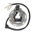 Load image into Gallery viewer, Electrosport Industries ELECTROSPORT STATOR ESC1361 fits 1991-1997 Kawasaki KX80 / 100