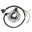 Load image into Gallery viewer, Electrosport Industries ELECTROSPORT STATOR ESC1366 fits 2001-2005 Kawasaki KX85 / 100