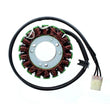 Load image into Gallery viewer, Electrosport Industries ELECTROSPORT STATOR - ESG617 ESG617