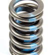 Load image into Gallery viewer, Elgin 1.255 Valve Spring (1) Single w/o Damper RV-9943X