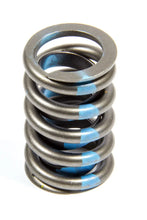 Load image into Gallery viewer, Elgin 1.255 Valve Spring (1) Single w/o Damper RV-9943X