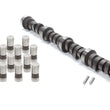 Load image into Gallery viewer, Elgin SBF Cam &amp; Lifter Kit - 484/484-110 272 Duration CL-1790PK