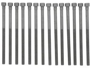 Elring Dichtung Cylinder Head Bolt Set fits 2014-2024 BMW / Mini