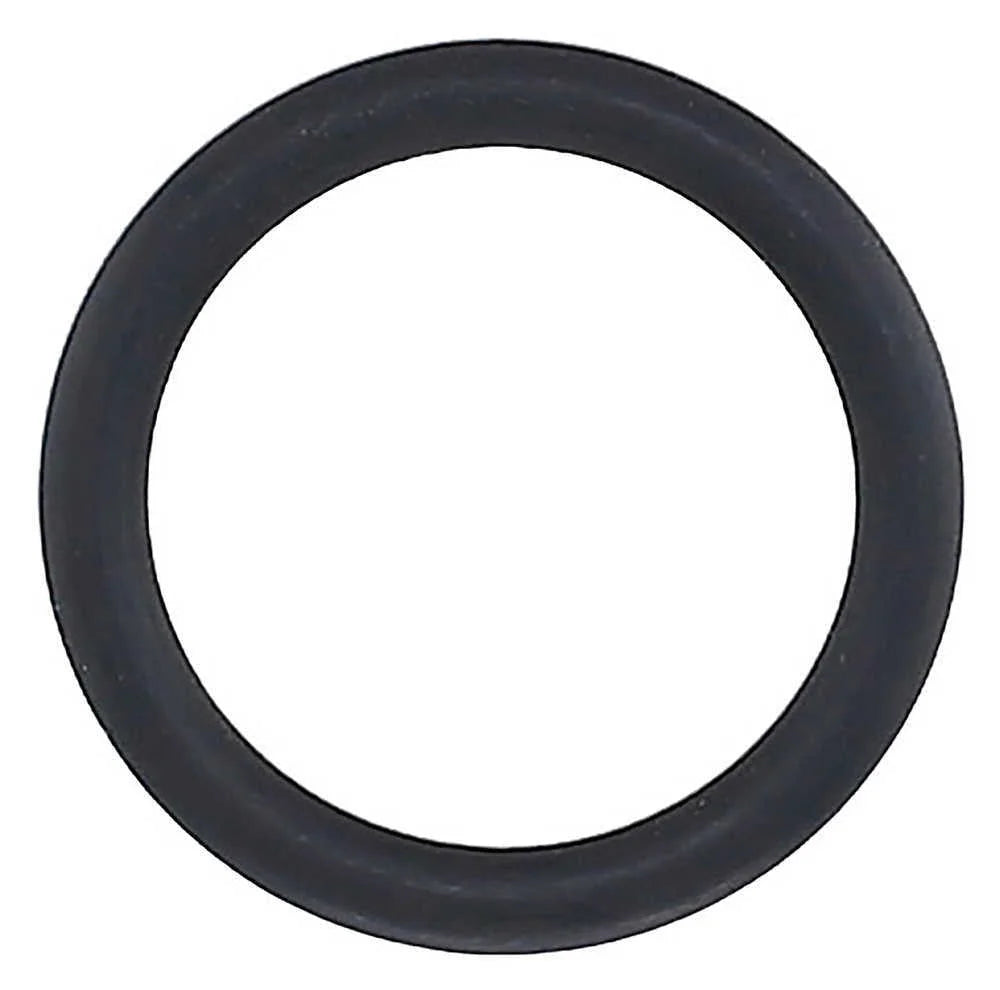 Elring Dichtung O-Ring 255.580 fits 2003-2004 2010-2014 Porsche Cayenne / Panamera - Side View
