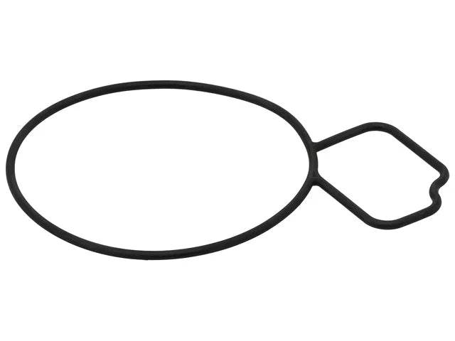 Elring Dichtung Water Pump Gasket 061.670 - Main Product View