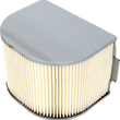 Load image into Gallery viewer, Emgo Air Filter fits Yamaha - Main Product View