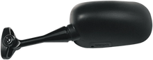 Load image into Gallery viewer, Emgo Mirror - Side View - Oval - Black - Left - Main Product View