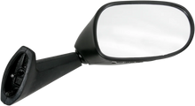 Load image into Gallery viewer, Emgo Mirror - Side View - Oval - Black - Right - Main Product View