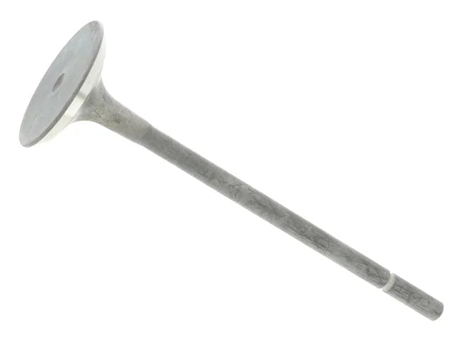 Eurospare Exhaust Valve 4646004