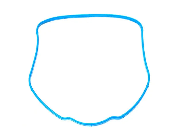 Eurospare Intake Manifold Gasket 4526546 - Main Product View