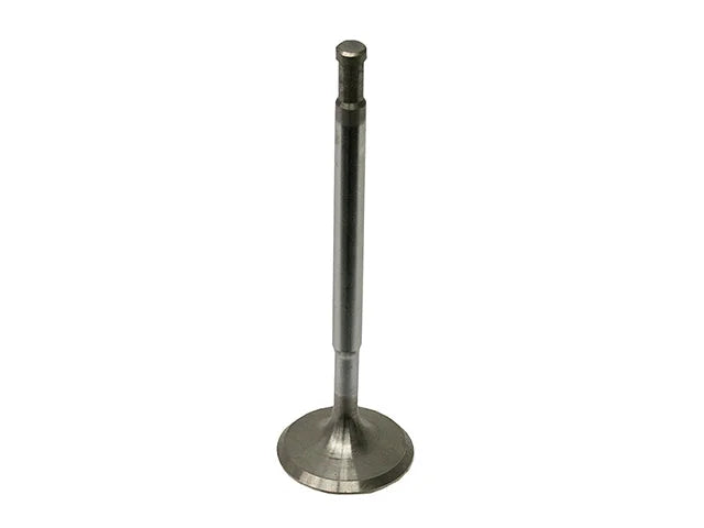 Eurospare Intake Valve LGH000030G