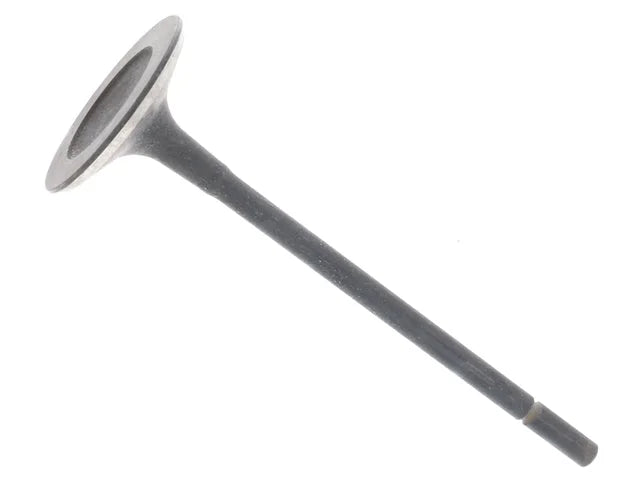Eurospare Intake Valve LR002447