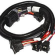 Load image into Gallery viewer, FAST Harness EZ-EFI Gen2 Main