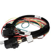 Load image into Gallery viewer, FAST Harness FAST Fan And Fuel Pump