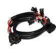 Load image into Gallery viewer, FAST Injector Harness Ev1 289302