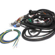 Load image into Gallery viewer, FAST Wiring Harness FAST Main LT1