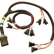 Load image into Gallery viewer, FAST Wiring Harness F.I. 4&amp;7 Swap