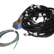 Load image into Gallery viewer, FAST Wiring Harness Main LS1LS2L