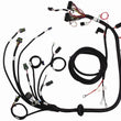 Load image into Gallery viewer, FAST Wiring Harness W/Relay FAST