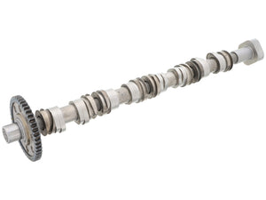 Camshaft
