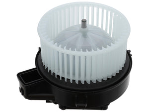 Blower Motor Assembly