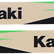 Load image into Gallery viewer, Factory Effex Swingarm Graphic - Kawasaki 19-42110 - Main Product View