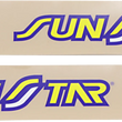 Load image into Gallery viewer, Factory Effex Swingarm Graphic - Sunstar RK - Main Product View