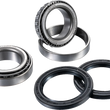 Load image into Gallery viewer, Factory Links - Axle Bearing Kit - Rear - ARA-P-007 - Side View