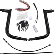 Load image into Gallery viewer, Fat Baggers Inc. Handlebar Kit - Pointed Top - 14" - Black 809114-B - Back View