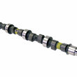 Load image into Gallery viewer, Febi Rubber Co Camshaft 08777