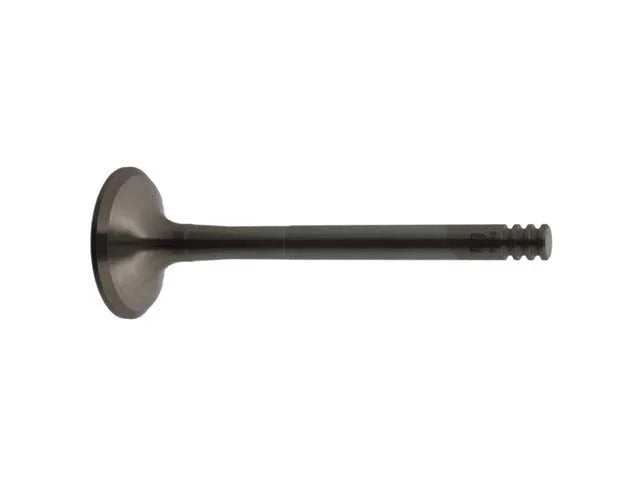 Febi Rubber Co Exhaust Valve 21024
