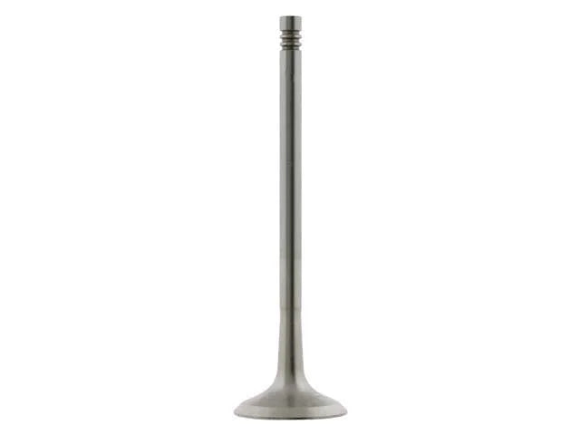 Febi Rubber Co Exhaust Valve 24161