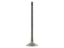 Load image into Gallery viewer, Febi Rubber Co Exhaust Valve 24161