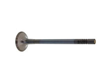 Load image into Gallery viewer, Febi Rubber Co Exhaust Valve 32334