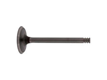 Load image into Gallery viewer, Febi Rubber Co Intake Valve 21020