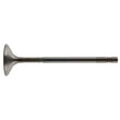 Load image into Gallery viewer, Febi Rubber Co Intake Valve 38315