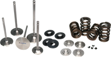 Load image into Gallery viewer, Ferrea 02-03 Harley-Davidson VRSCA V Rod Valve Spring Kit
